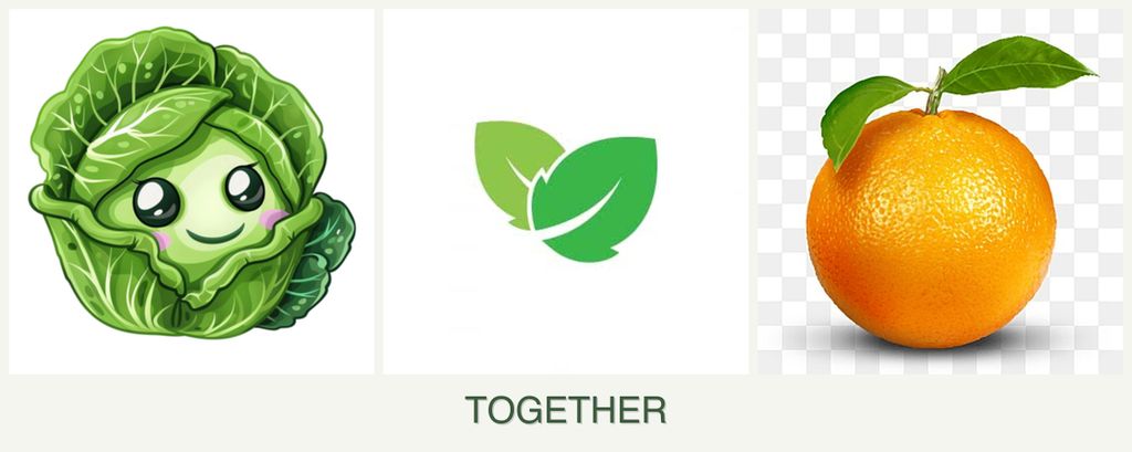 Can you plant cabbage, mint and oranges together?