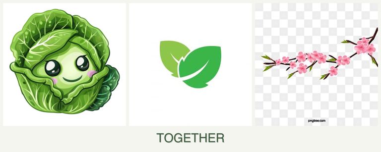 Can you plant cabbage, mint and peaches together?