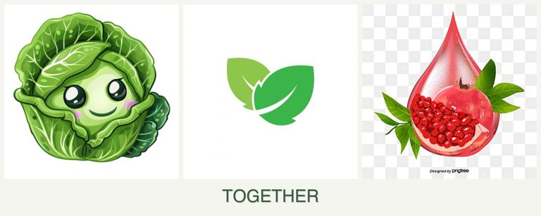 Can you plant cabbage, mint and pomegranates together?