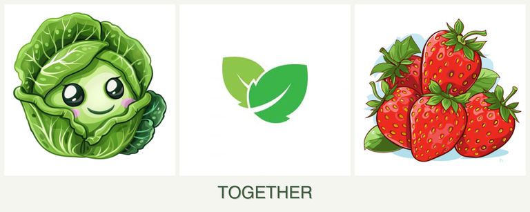 Can you plant cabbage, mint and strawberries together?
