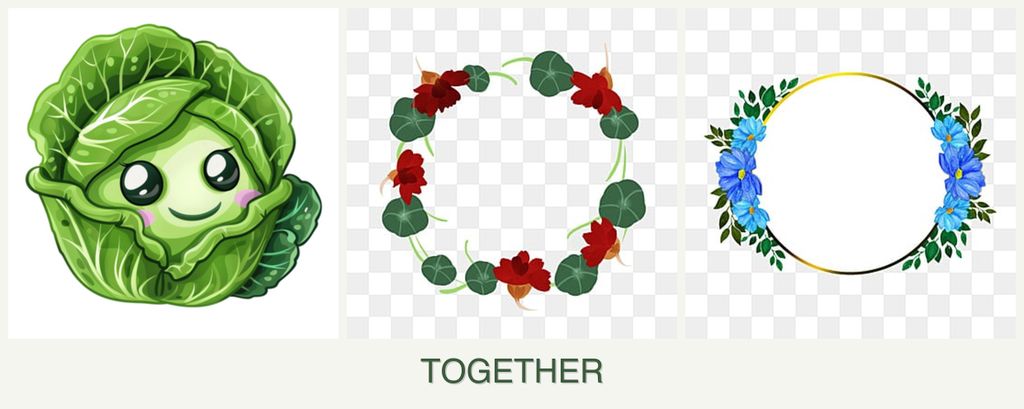 Can you plant cabbage, nasturtiums and zinnias together?