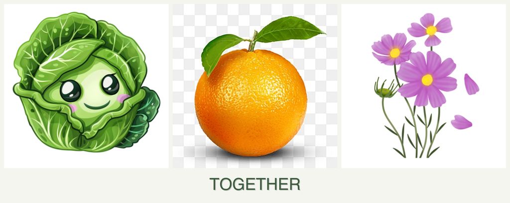 Can you plant cabbage, oranges and cosmos together?