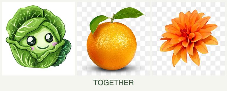 Can you plant cabbage, oranges and dahlias together?