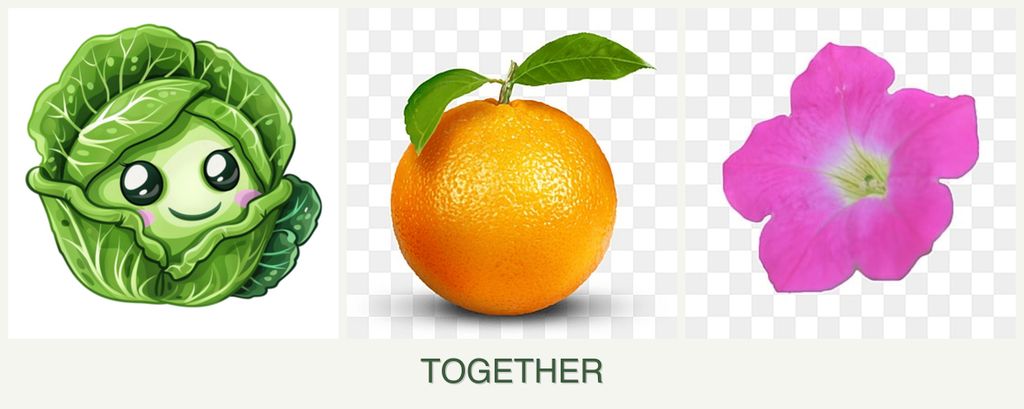 Can you plant cabbage, oranges and petunias together?