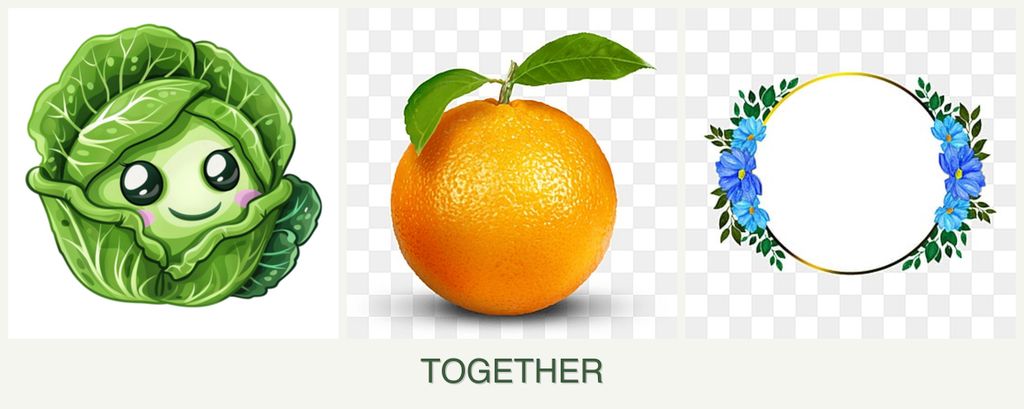 Can you plant cabbage, oranges and zinnias together?