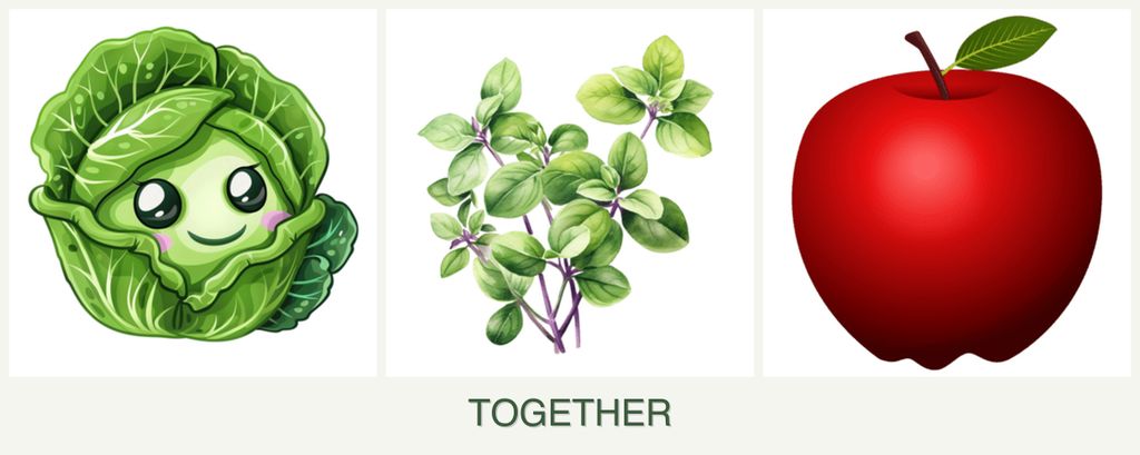 Can you plant cabbage, oregano and apples together?