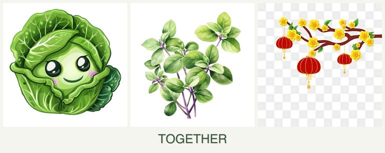 Can you plant cabbage, oregano and apricots together?