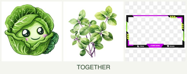 Can you plant cabbage, oregano and limes together?