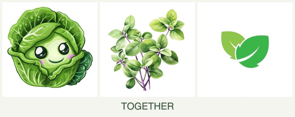 Can you plant cabbage, oregano and mint together?