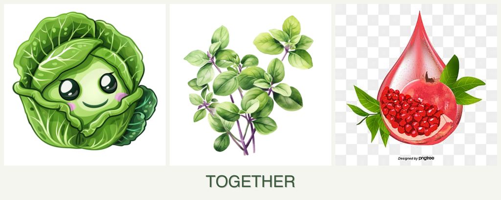 Can you plant cabbage, oregano and pomegranates together?