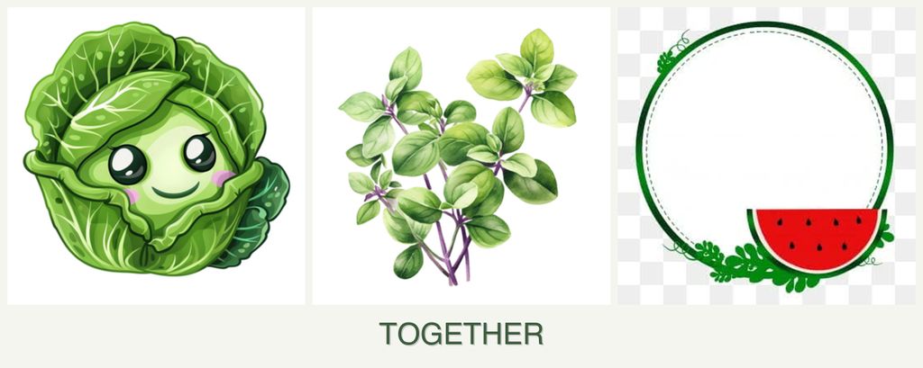 Can you plant cabbage, oregano and watermelons together?