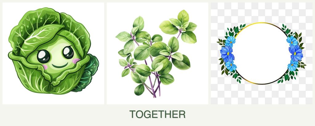 Can you plant cabbage, oregano and zinnias together?