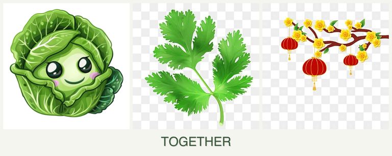 Can you plant cabbage, parsley and apricots together?