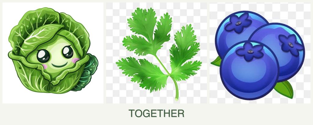 Can you plant cabbage, parsley and blueberries together?