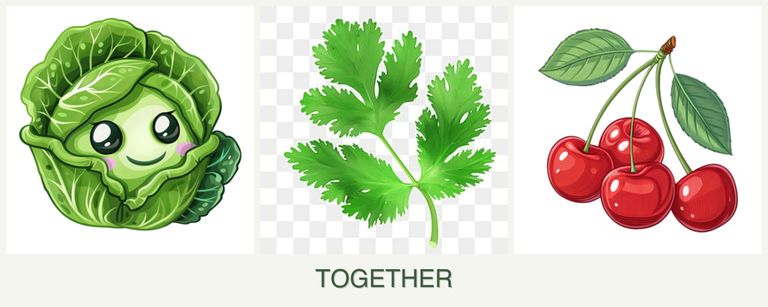 Can you plant cabbage, parsley and cherries together?