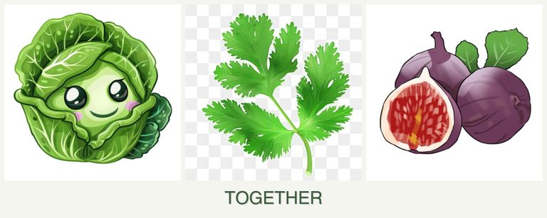 Can you plant cabbage, parsley and figs together?