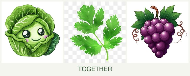 Can you plant cabbage, parsley and grapes together?