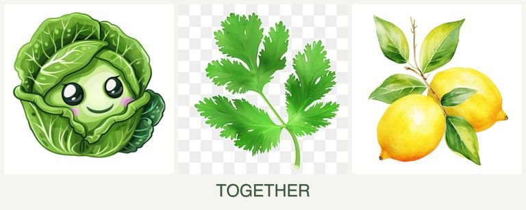 Can you plant cabbage, parsley and lemons together?