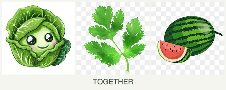 Can you plant cabbage, parsley and melons together?