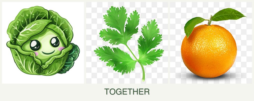 Can you plant cabbage, parsley and oranges together?