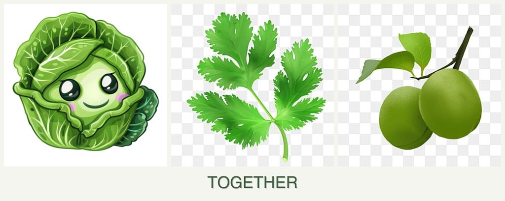 Can you plant cabbage, parsley and plums together?