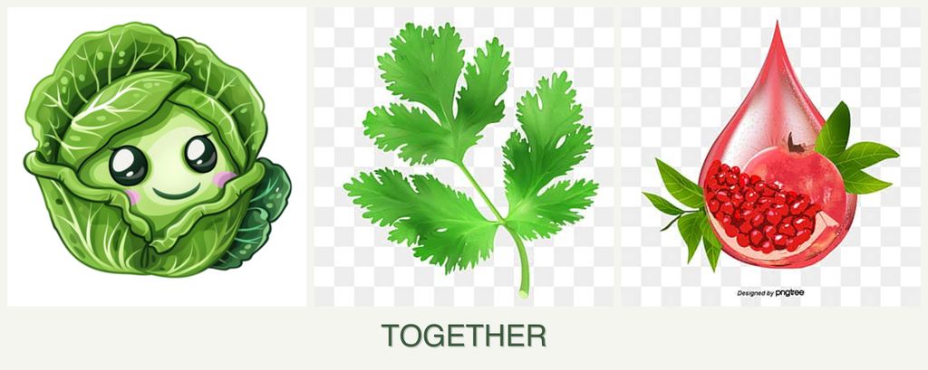 Can you plant cabbage, parsley and pomegranates together?