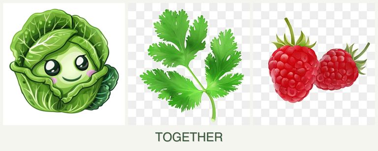 Can you plant cabbage, parsley and raspberries together?
