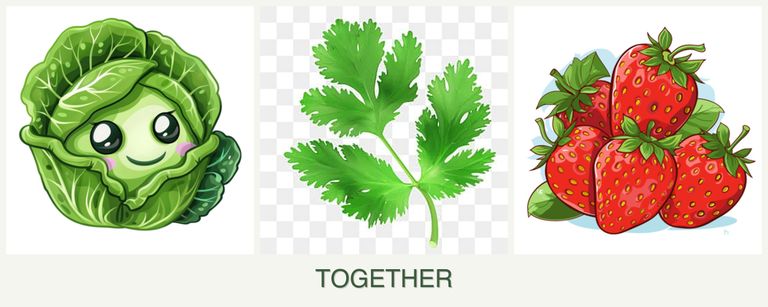 Can you plant cabbage, parsley and strawberries together?