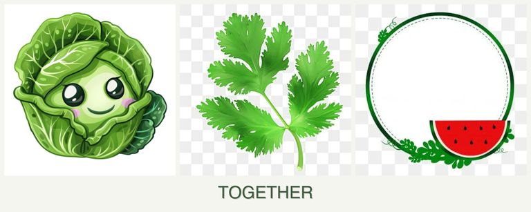 Can you plant cabbage, parsley and watermelons together?