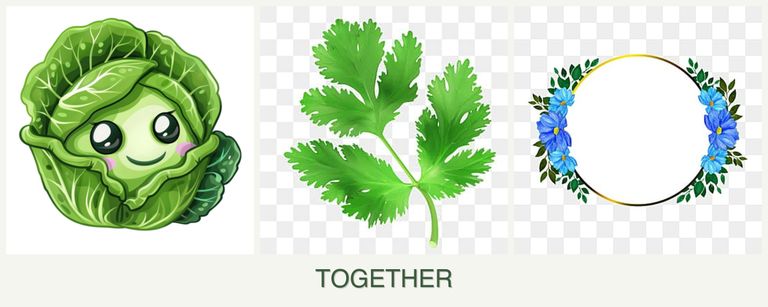 Can you plant cabbage, parsley and zinnias together?