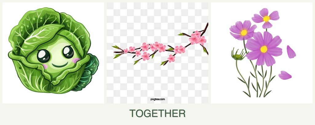 Can you plant cabbage, peaches and cosmos together?