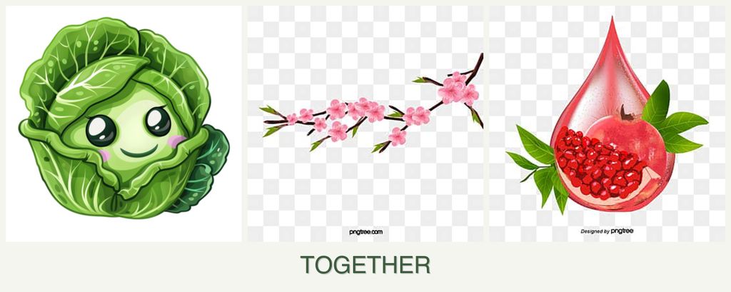 Can you plant cabbage, peaches and pomegranates together?