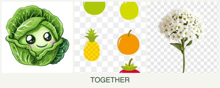 Can you plant cabbage, pears and alyssum together?