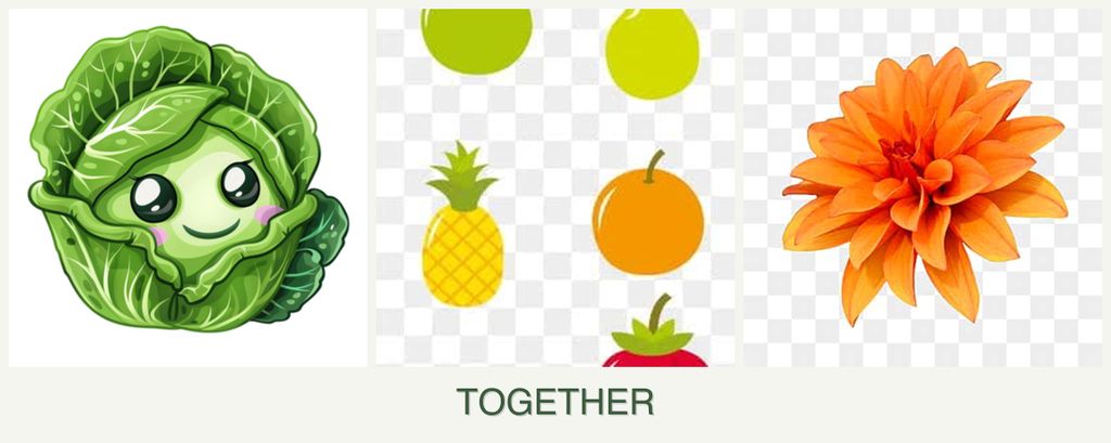 Can you plant cabbage, pears and dahlias together?