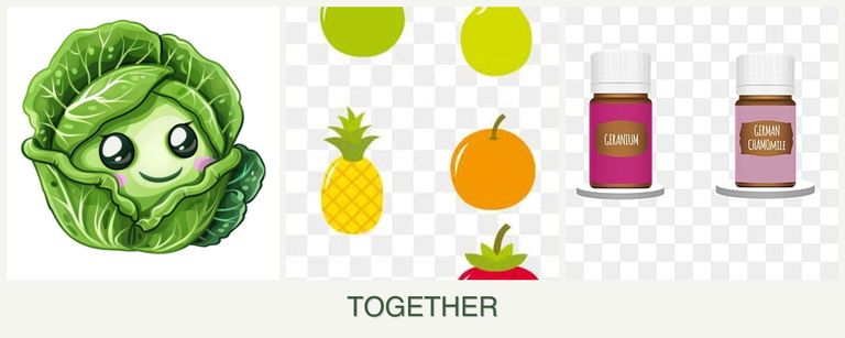Can you plant cabbage, pears and geraniums together?