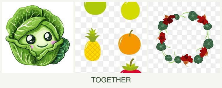 Can you plant cabbage, pears and nasturtiums together?