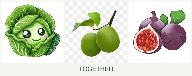 Can you plant cabbage, plums and figs together?