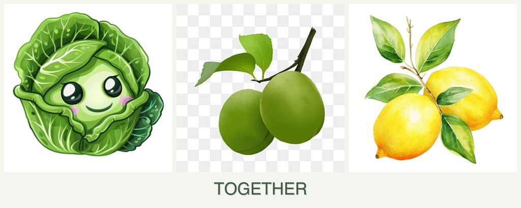 Can you plant cabbage, plums and lemons together?