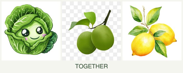 Can you plant cabbage, plums and lemons together?
