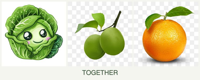 Can you plant cabbage, plums and oranges together?