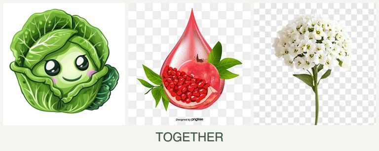 Can you plant cabbage, pomegranates and alyssum together?