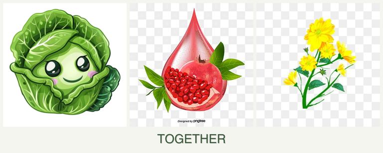 Can you plant cabbage, pomegranates and calendula together?