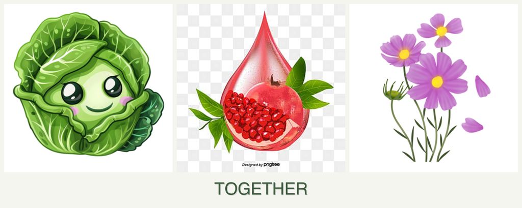 Can you plant cabbage, pomegranates and cosmos together?