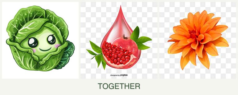 Can you plant cabbage, pomegranates and dahlias together?