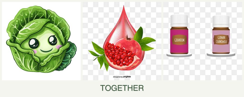 Can you plant cabbage, pomegranates and geraniums together?