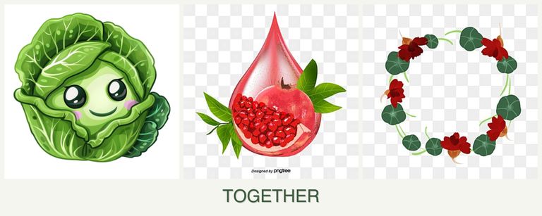 Can you plant cabbage, pomegranates and nasturtiums together?