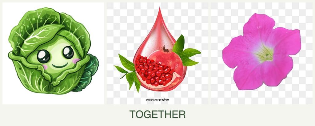 Can you plant cabbage, pomegranates and petunias together?