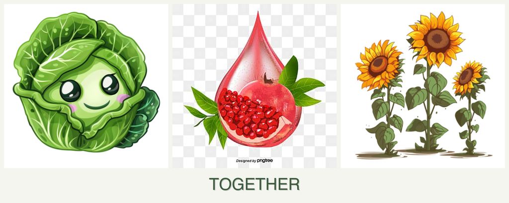 Can you plant cabbage, pomegranates and sunflowers together?