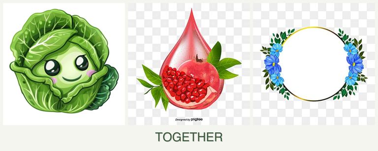 Can you plant cabbage, pomegranates and zinnias together?