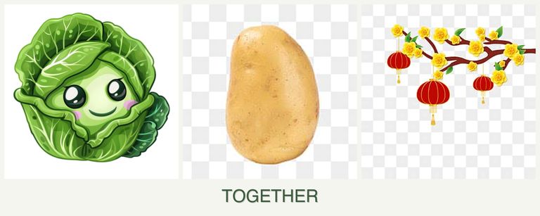 Can you plant cabbage, potatoes and apricots together?